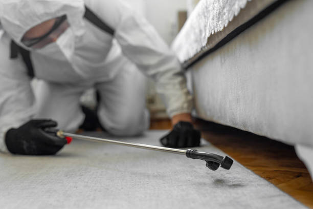Professional Cockroach Control technician working in Hamlet, IN