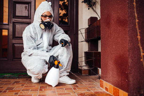 Reliable Cockroach Control contractor in Hamlet, IN by Nex Pest Control